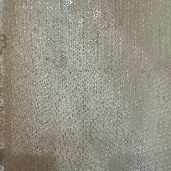 Edikted Riki light pink sheer sequin maxi Skirt - Picture 13 of 15